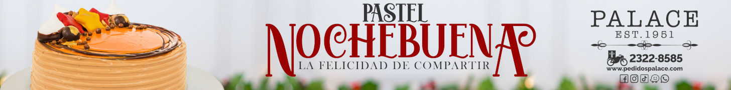 Pasteleria Palace ahora a domicilio - Pastel Nochebuena - Disponible por temporada