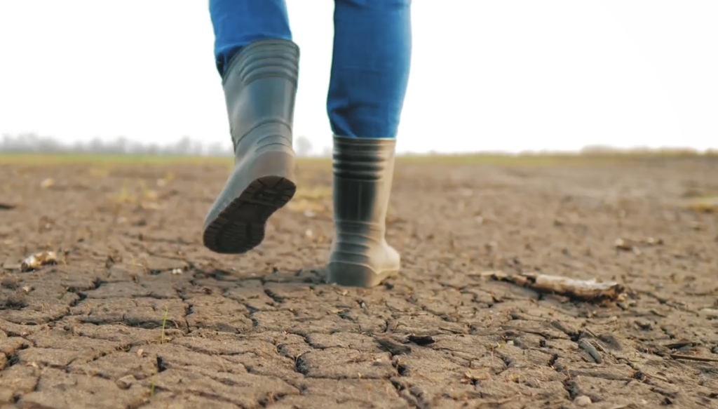La degradación de la tierra afecta a los ecosistemas del