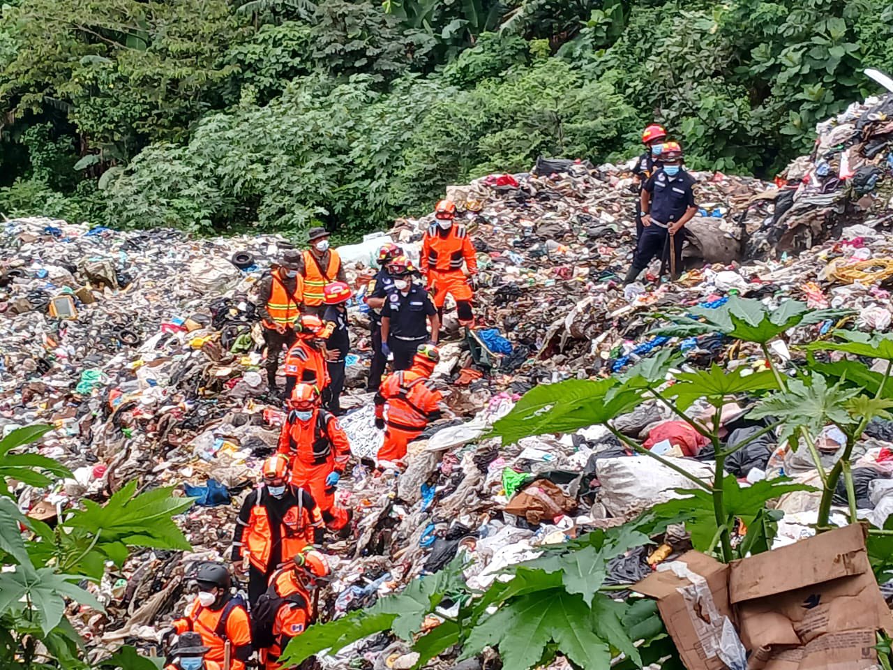 ergerger