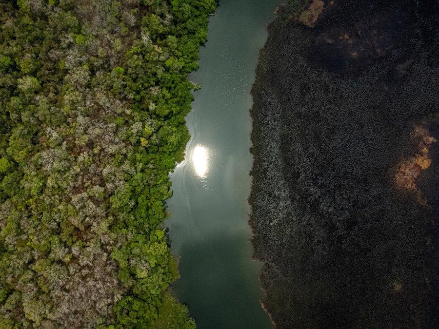 Guatemala invertirá en conservación de selva maya con México y Belice