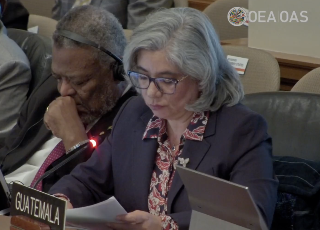 OEA reafirma apoyo a la democracia en Guatemala